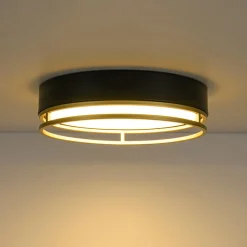 Black Gold Metal Round Dimmable LED Flush Mount Light 5CCT
