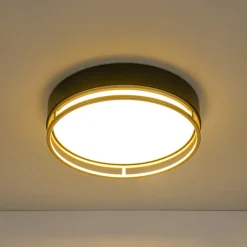 Black Gold Metal Round Dimmable LED Flush Mount Light 5CCT