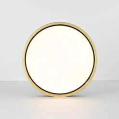 Black Gold Metal Round Dimmable LED Flush Mount Light 5CCT