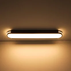 Black Minimalist Oval Dimmable LED Flush Mount Light