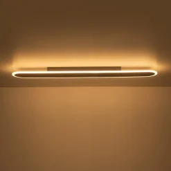 Contemporary Long Oval Warm Dimmable LED Ceiling Light