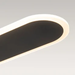 Contemporary Long Oval Warm Dimmable LED Ceiling Light