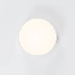 Contemporary Wood Round Dimmable LED Ceiling Light