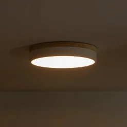 Contemporary Wood Round Dimmable LED Ceiling Light