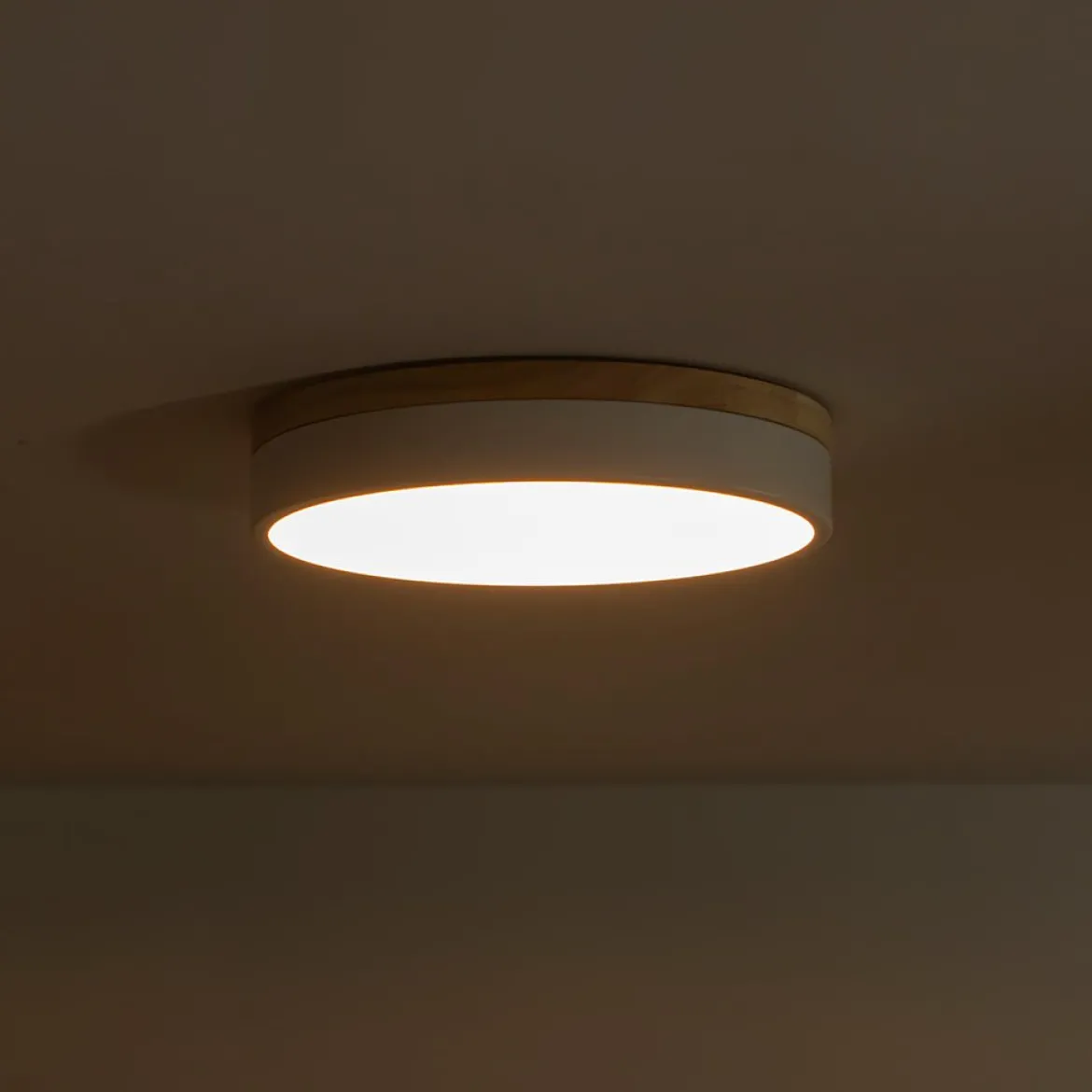 Contemporary Wood Round Dimmable LED Ceiling Light
