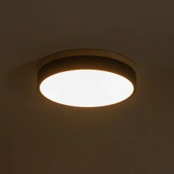 Contemporary Wood Round Dimmable LED Ceiling Light