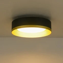 Dimmable LED Black Gold Iron Milky Glass Drum Flush Mount