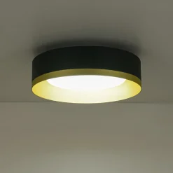 Dimmable LED Black Gold Iron Milky Glass Drum Flush Mount