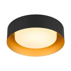 Dimmable LED Black Iron Milky Glass Round Drum Ceiling Light
