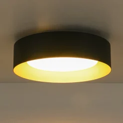 Dimmable LED Black Iron Milky Glass Round Drum Ceiling Light
