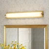Dimmable LED Wide Linear Frosted Glass Tube Vanity Wall Lamp