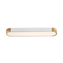 Dimmable Minimalist Long Oval Flush Mount LED Light