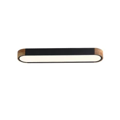 Dimmable Minimalist Long Oval Flush Mount LED Light