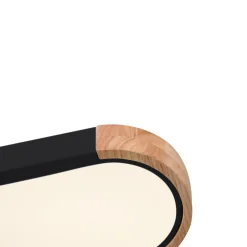 Dimmable Minimalist Long Oval Flush Mount LED Light