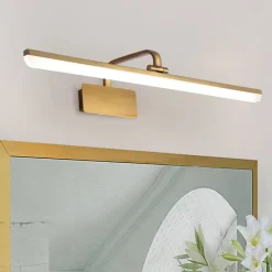 1-Light Brass Linear LED Vanity Light Picture Sconce