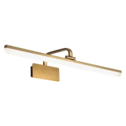 1-Light Brass Linear LED Vanity Light Picture Sconce