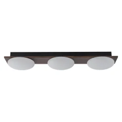 3-Light Dimmable LED Rustic Linear Flush Mount Light