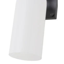 2-Light Milky White Glass Cylinder Vanity Wall Sconce