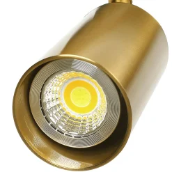 Mid-century 1-light Ceiling Spotlight