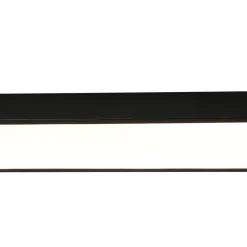 Minimalist Long Oval Dimmable LED Flush Mount Ceiling Light