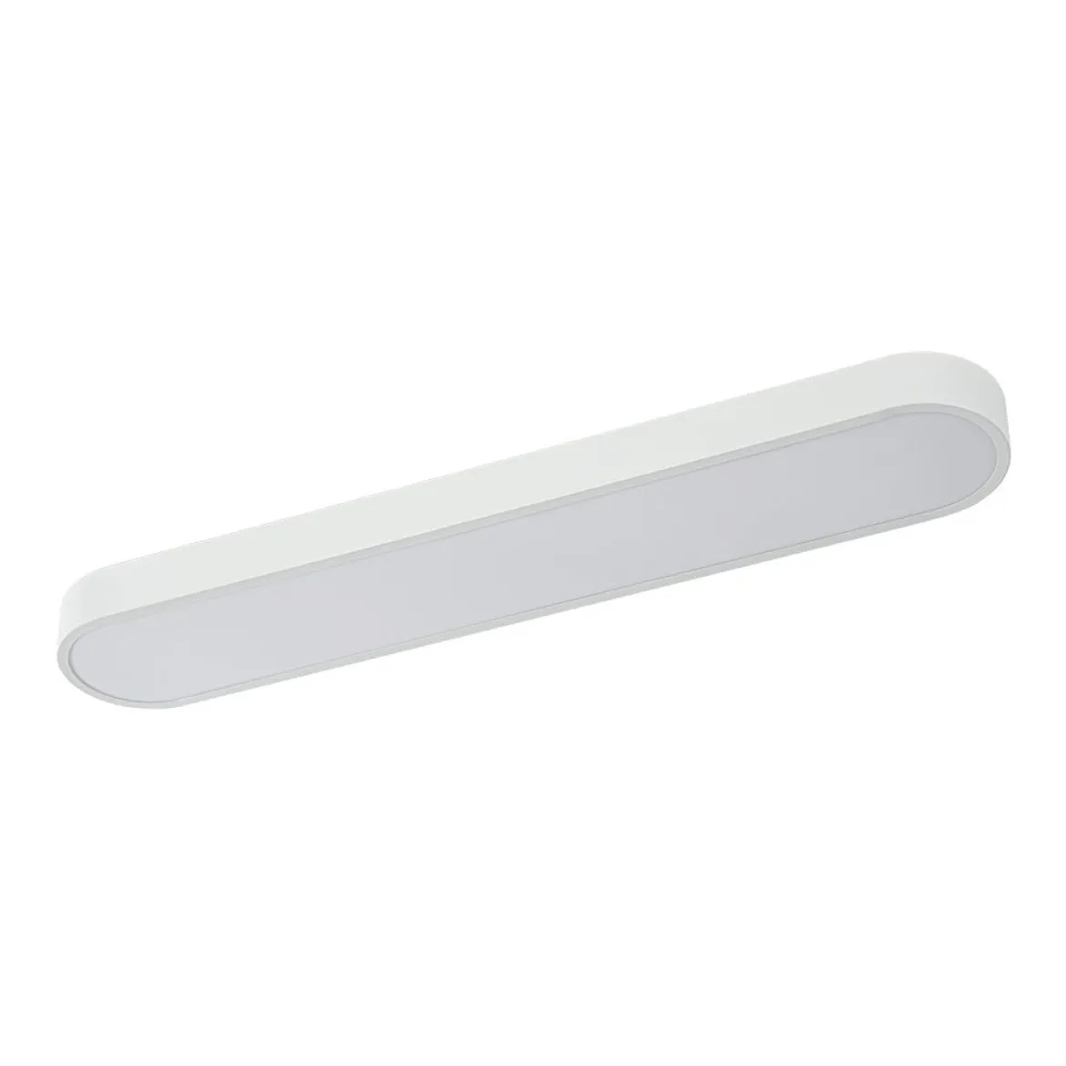 Minimalist Long Oval Dimmable LED Flush Mount Ceiling Light