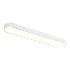 Minimalist Long Oval Dimmable LED Flush Mount Ceiling Light