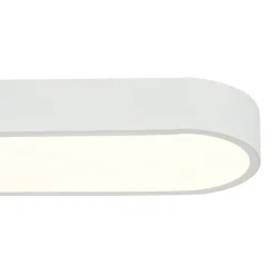 Minimalist Long Oval Dimmable LED Flush Mount Ceiling Light