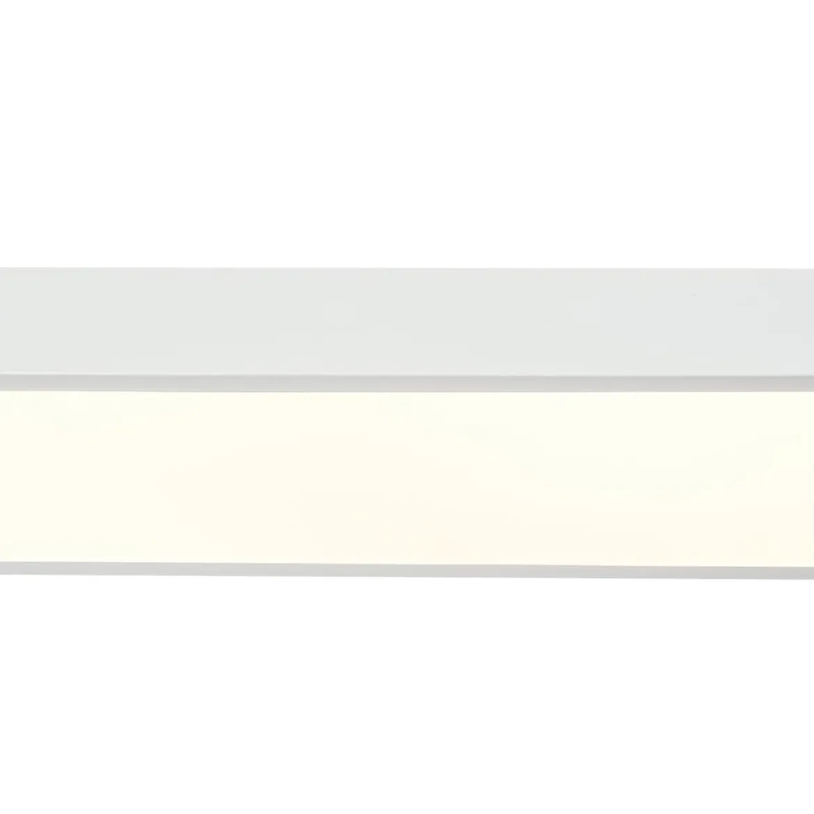 Minimalist Long Oval Dimmable LED Flush Mount Ceiling Light