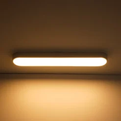 Minimalist Long Oval Dimmable LED Flush Mount Ceiling Light