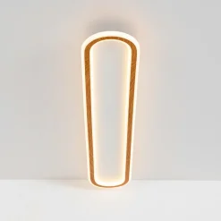 Minimalist Wood Grain Dimmable LED Oval Ring Ceiling Light