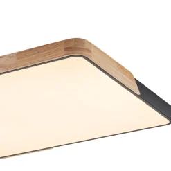 (OpenBox) Rectangle LED Flush Mount Light