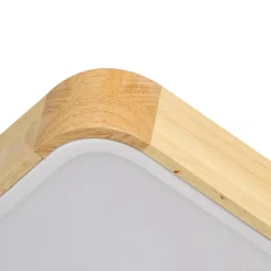 Rectangle LED Flush Mount Light