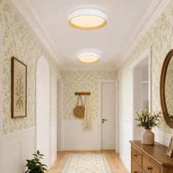 Scandinavian 5CCT Dimmable LED Round Flush Mount Light