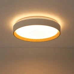 Scandinavian 5CCT Dimmable LED Round Flush Mount Light