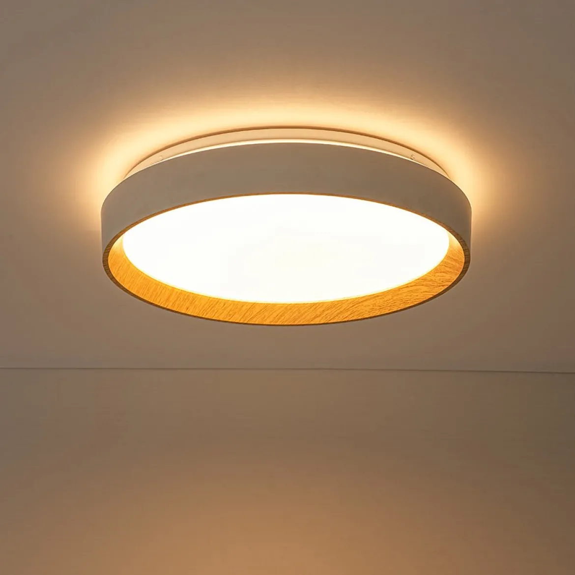 Scandinavian 5CCT Dimmable LED Round Flush Mount Light