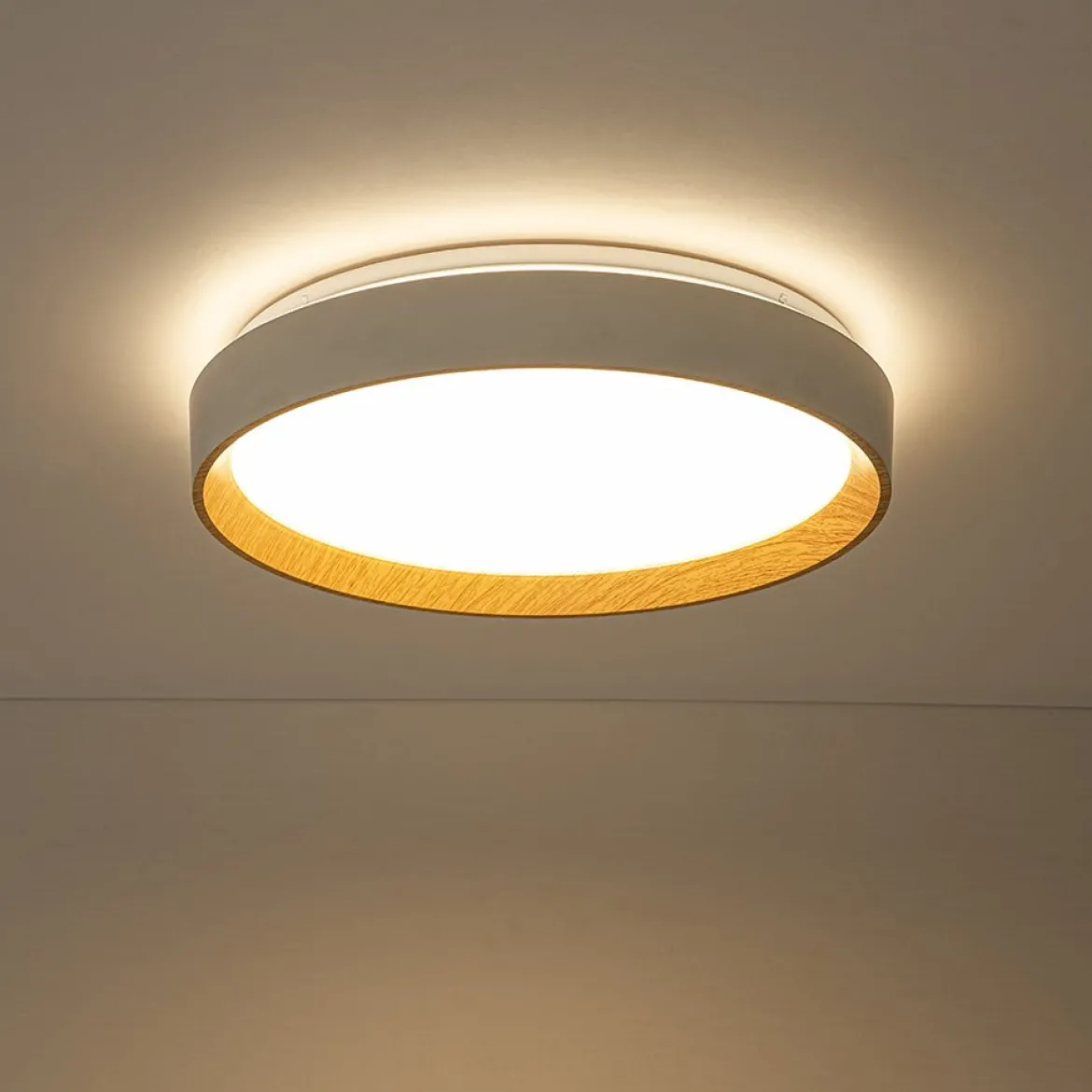 Scandinavian 5CCT Dimmable LED Round Flush Mount Light