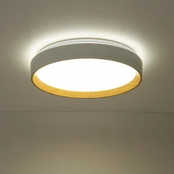 Scandinavian 5CCT Dimmable LED Round Flush Mount Light