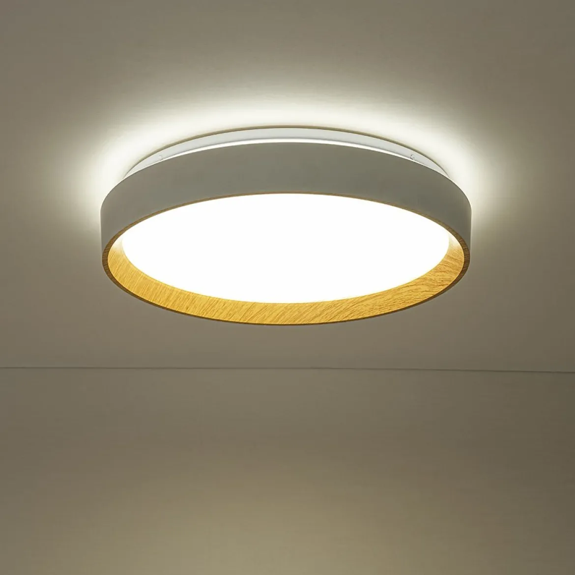 Scandinavian 5CCT Dimmable LED Round Flush Mount Light