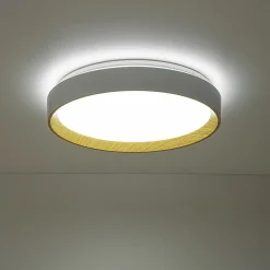 Scandinavian 5CCT Dimmable LED Round Flush Mount Light
