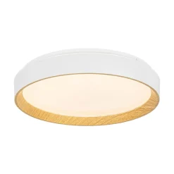 Scandinavian 5CCT Dimmable LED Round Flush Mount Light
