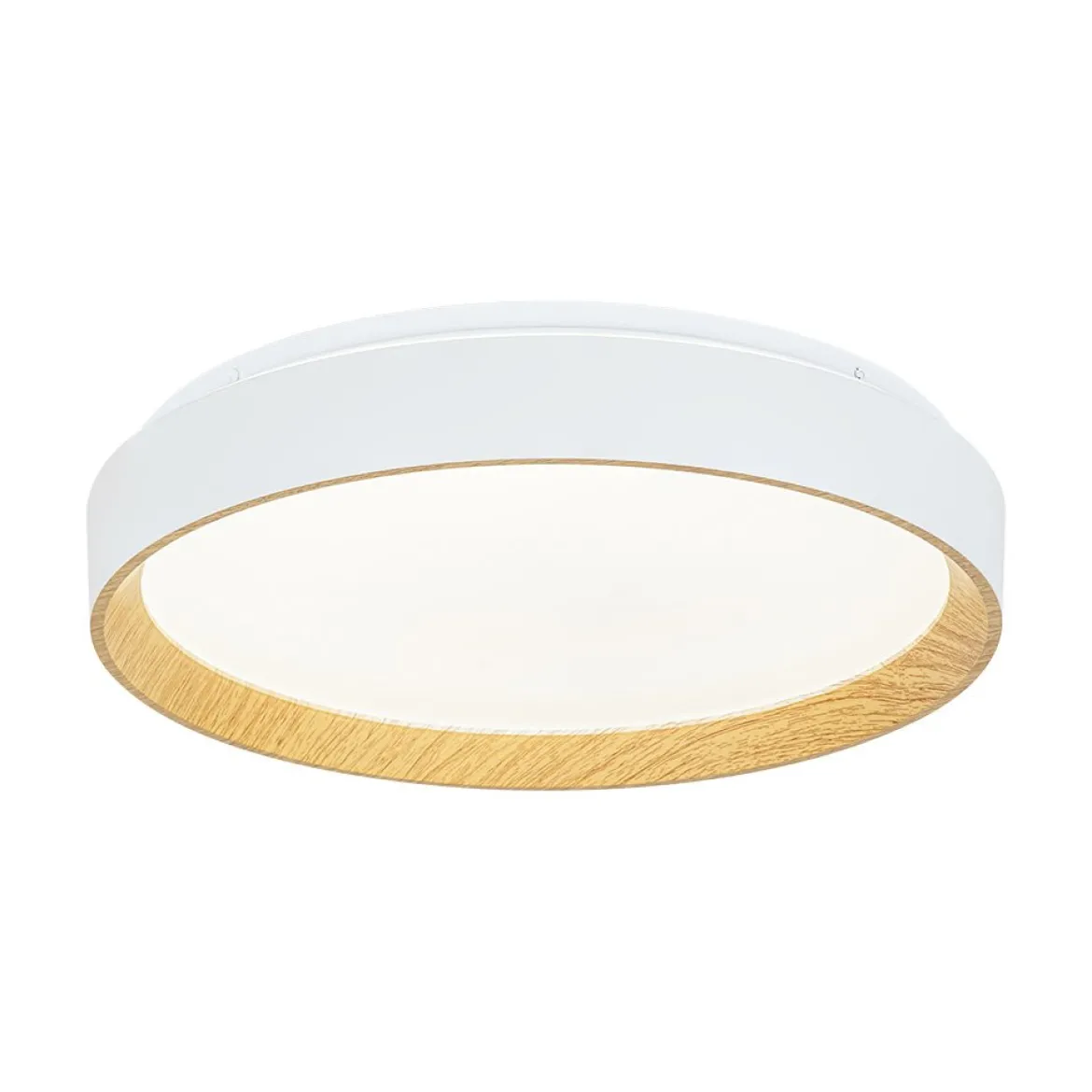 Scandinavian 5CCT Dimmable LED Round Flush Mount Light