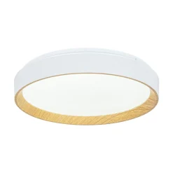 Scandinavian 5CCT Dimmable LED Round Flush Mount Light