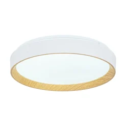 Scandinavian 5CCT Dimmable LED Round Flush Mount Light