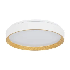 Scandinavian 5CCT Dimmable LED Round Flush Mount Light