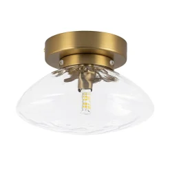 Versatile 1-Light Water Glass Oval Globe Semi Flush Wall Lamp